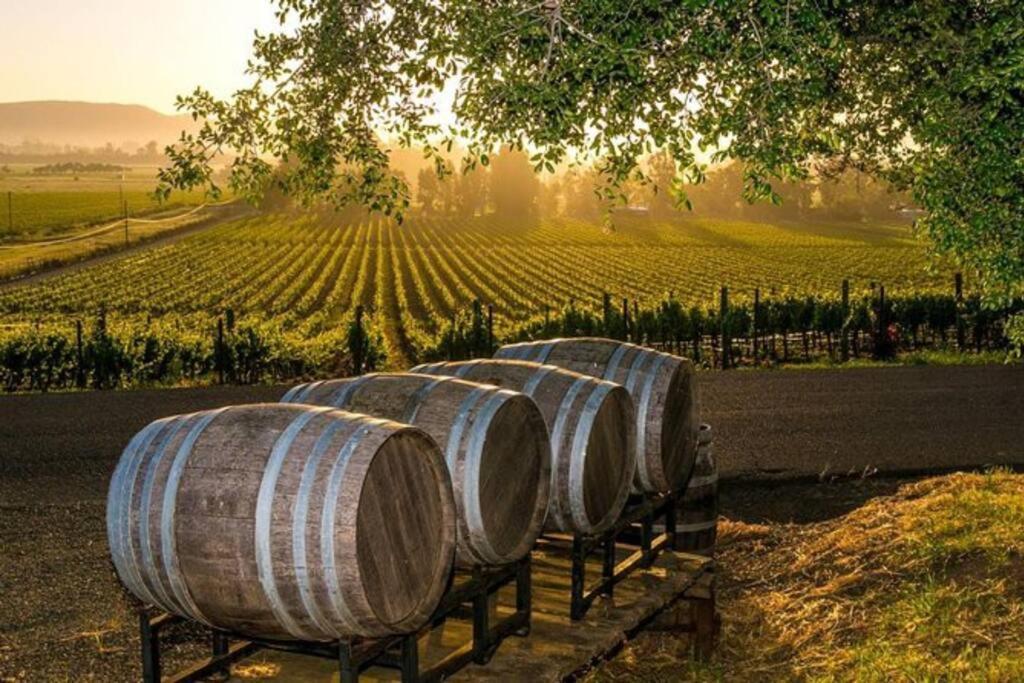 The Container Retreat @ 290 Wine Trail #9 Get Away Today! Hye Exterior foto